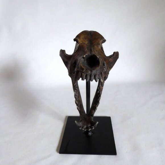 NEW REPLICA DIRE WOLF SKULL ON METAL BASE GOTHIC ODDITY SCULPTURE - Picture 6 of 10